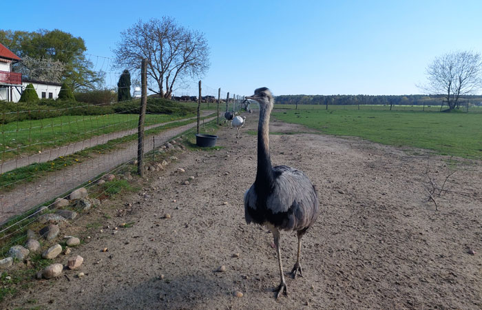 Wohnmobilstellplatz Spremberg Wohnmobilstellplatz Spremberg